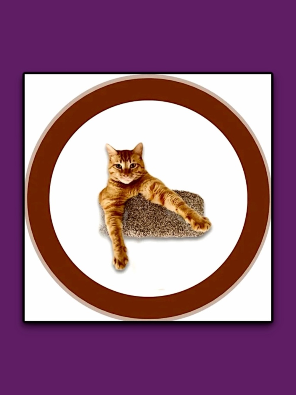 Next LIVE, Sat, 5/2 at 3:30 pm PST Fab Finds For $15 or Less⭐️Posh Cheeky LIVE - Picture 16 of 16